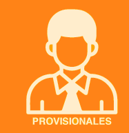 Docentes provisionales